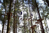 Treetop Adventure Snowdonia