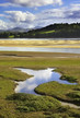 RSPB Conwy